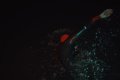 Inot sub cerul instelat, la Swim4Dreams 2026: evenimente sportive deschise tuturor, in sprijinul Funda?iei Copii in&nbsp;(…)